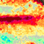 El Niño 2015 Conference Report