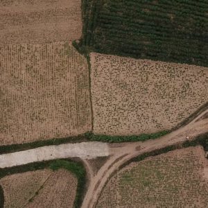 Improving Risk Indicators: Introducing the Next Generation Drought Index Project