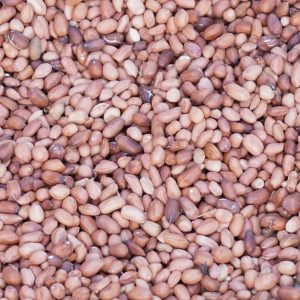 Index Insurance for Madagascar’s Groundnut Farmers