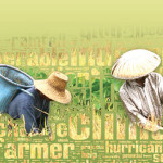 Index insurance for development and disaster management