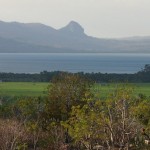 Online Crop Calendar Helps Indonesian Government Manage Climate Risk